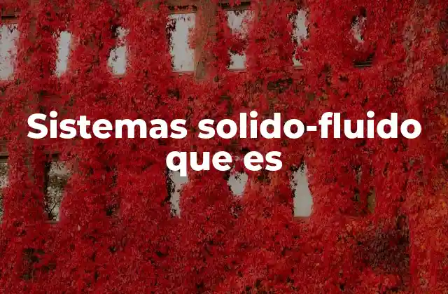 Sistemas Solido-fluido que es