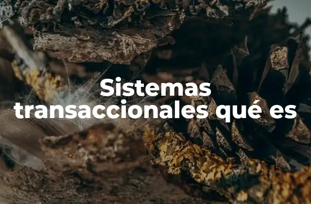 Sistemas Transaccionales Qué es