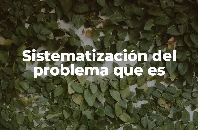 Sistematización Del Problema que es