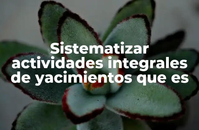 Sistematizar Actividades Integrales de Yacimientos que es 2 La importancia de una planificación integral en la extracción de recursos naturales