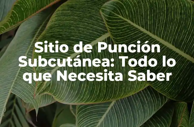 Sitio de Punción Subcutánea: Todo Lo que Necesita Saber