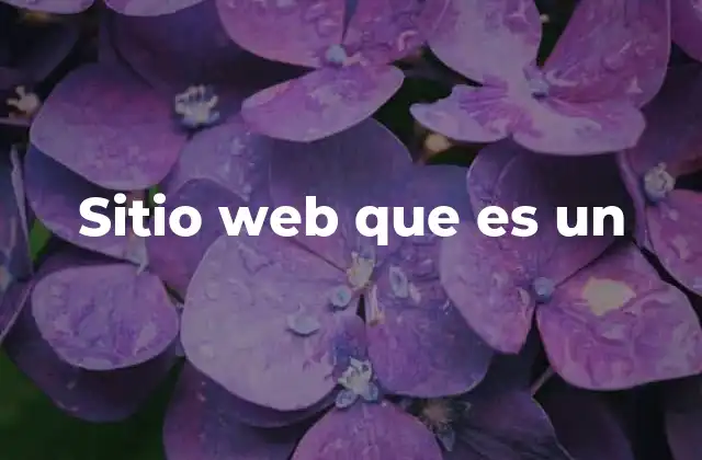 Sitio Web que es un