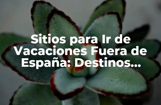 Sitios para Ir de Vacaciones Fuera de España: Destinos Imperdibles 2 Europa: El Continente de la Diversidad