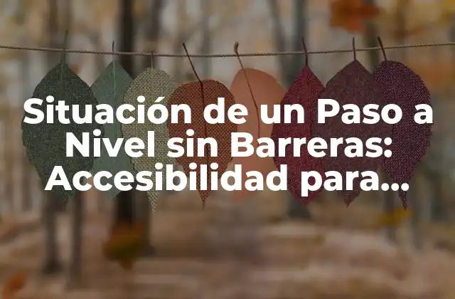 Situación de un Paso a Nivel sin Barreras: Accesibilidad para Todos