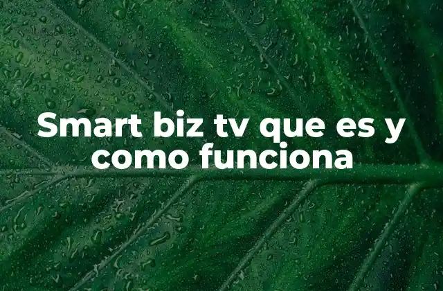 Smart Biz Tv que es y como Funciona