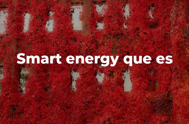 Smart Energy que es