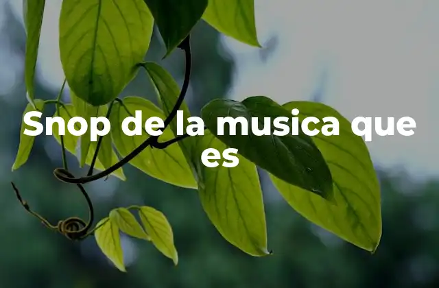 Snop de la Musica que es