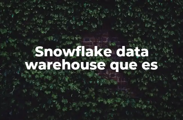 Snowflake Data Warehouse que es 2 La evolución de los almacenes de datos y el lugar de Snowflake en el mercado