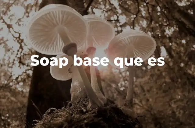 Soap Base que es