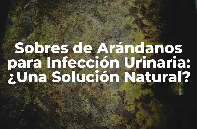 Sobres de Arándanos para Infección Urinaria: ¿una Solución Natural?