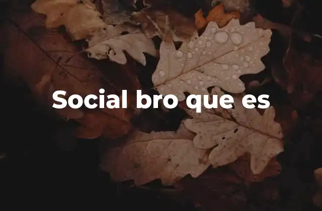 Social Bro que es