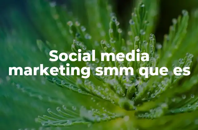 Social Media Marketing Smm que es