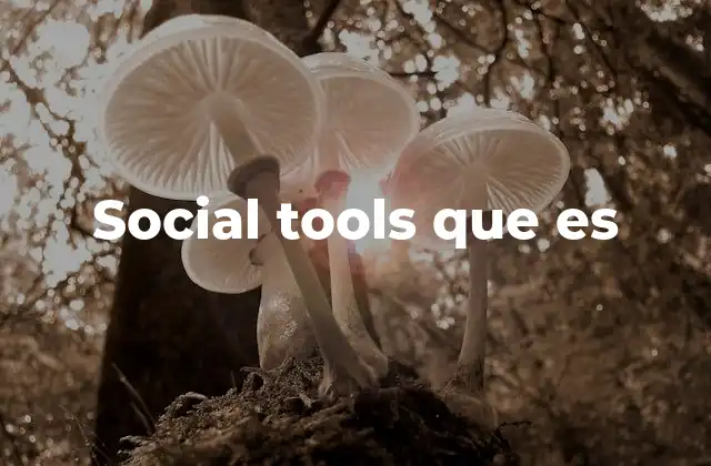 Social Tools que es