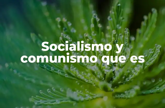 Socialismo y Comunismo que es