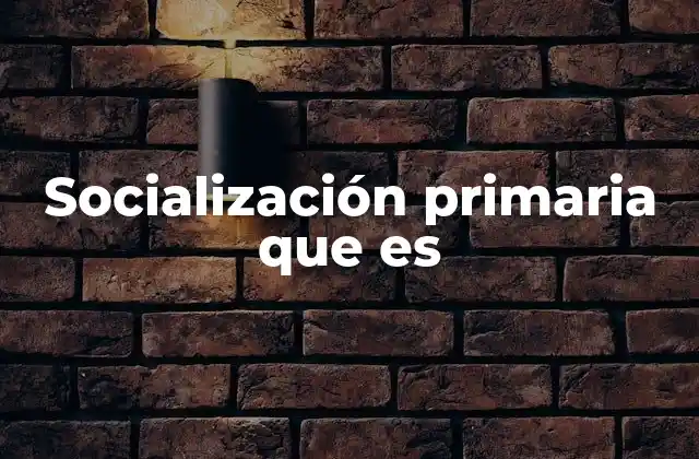 Socialización Primaria que es