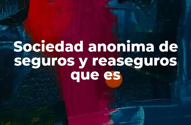 Sociedad Anonima de Seguros y Reaseguros que es