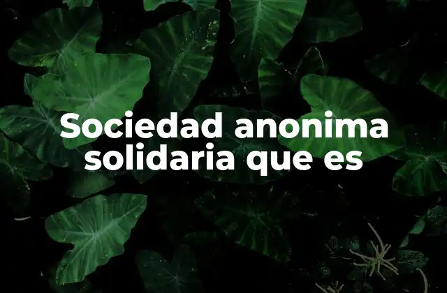 Características principales de las sociedades anónimas solidarias