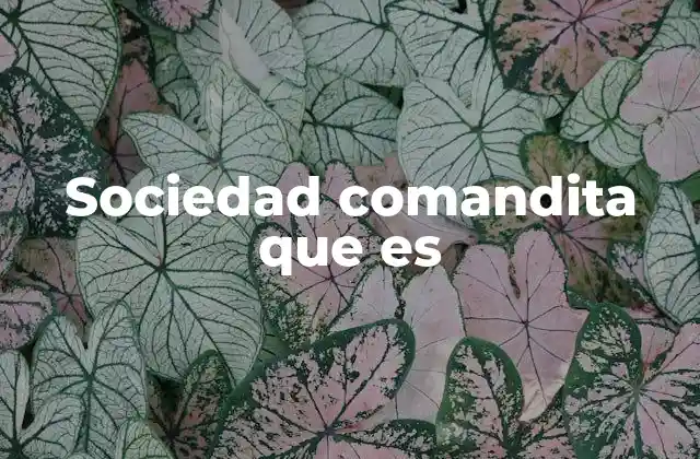 Sociedad Comandita que es