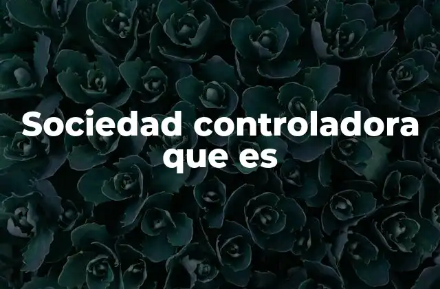 Sociedad Controladora que es