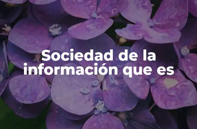 Sociedad de la Información que es