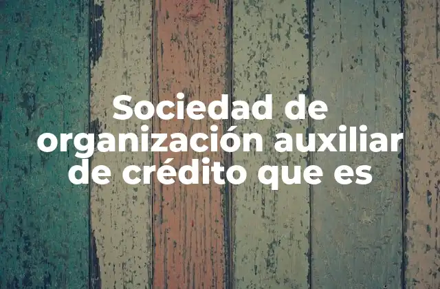 Sociedad de Organización Auxiliar de Crédito que es