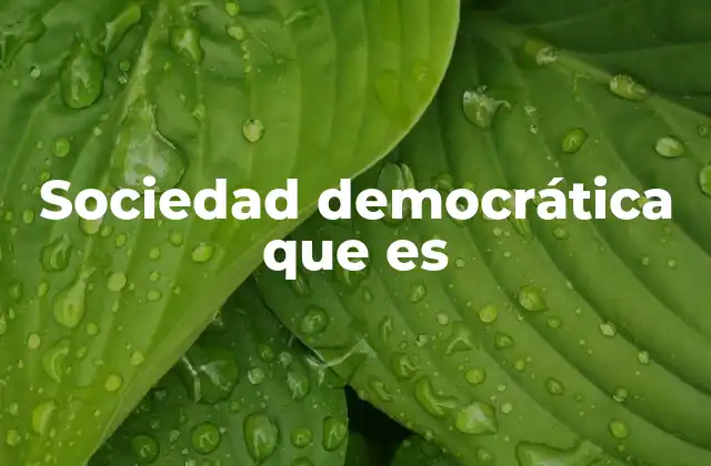 Sociedad Democrática que es