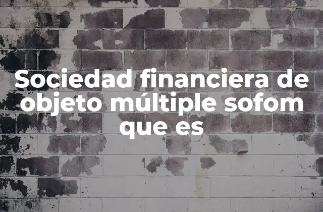 El papel de las SOFOMES en el sistema financiero mexicano