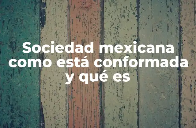 El tejido social del México contemporáneo
