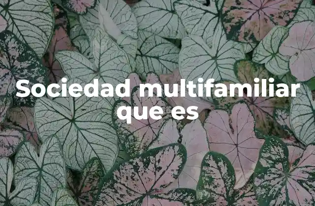 Sociedad Multifamiliar que es