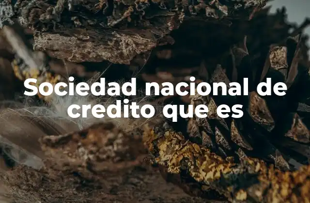 Sociedad Nacional de Credito que es