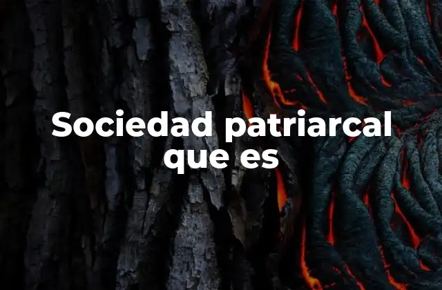 Sociedad Patriarcal que es