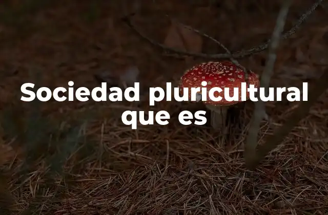 Sociedad Pluricultural que es