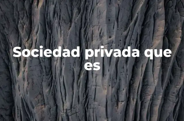 Sociedad Privada que es