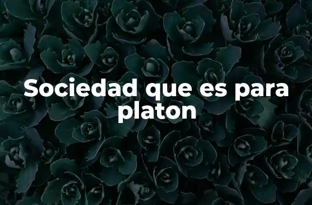Sociedad que es para Platon