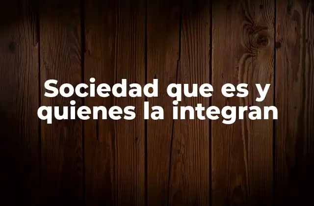 Sociedad que es y Quienes la Integran