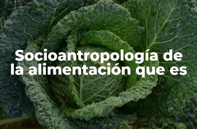 Socioantropología de la Alimentación que es 2 La comida como expresión cultural y social