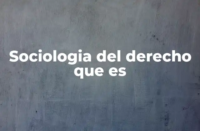 Sociologia Del Derecho que es