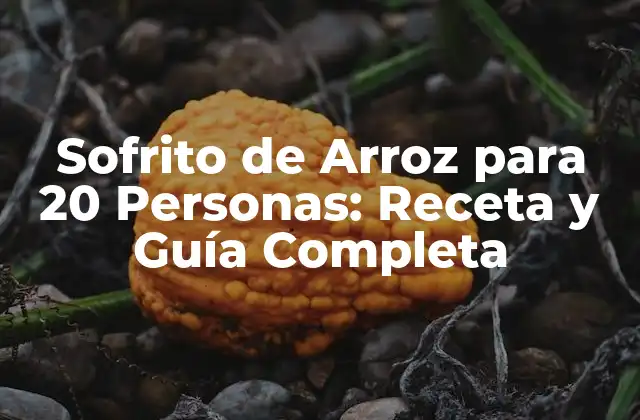 Sofrito de Arroz para 20 Personas: Receta y Guía Completa
