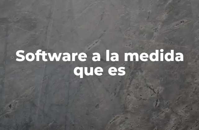 Software a la Medida que es