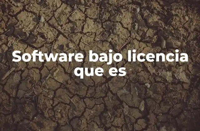 Software bajo Licencia que es