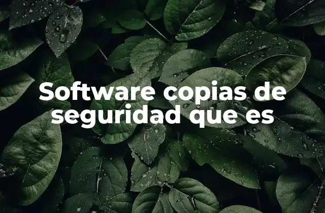 Software Copias de Seguridad que es