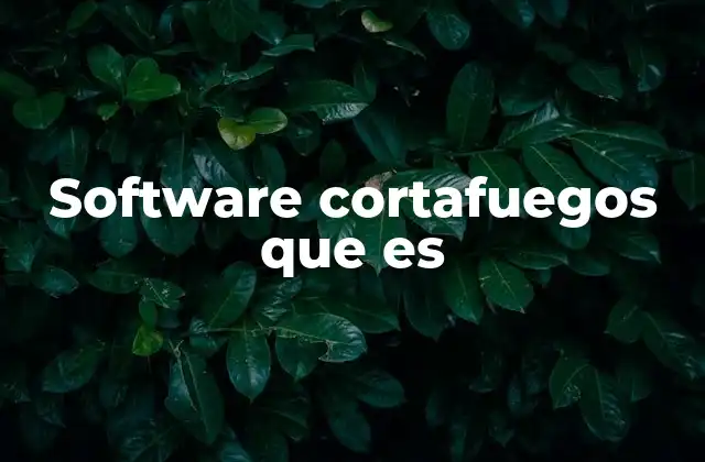 Software Cortafuegos que es