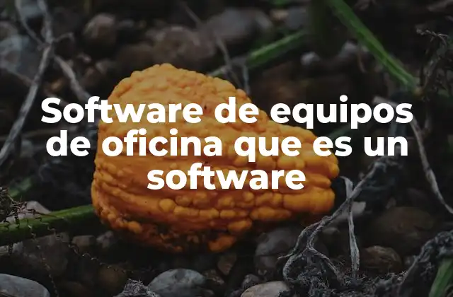 Software de Equipos de Oficina que es un Software