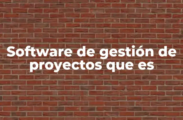 Software de Gestión de Proyectos que es