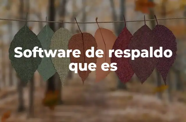 Software de Respaldo que es 2 La importancia de la copia de seguridad en la gestión de datos