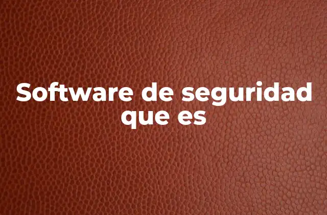 Software de Seguridad que es