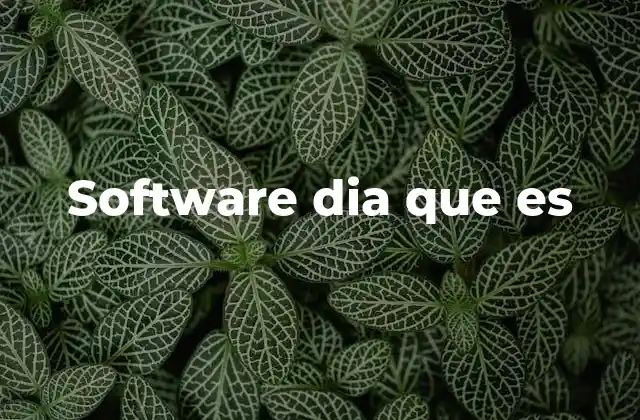 Software Dia que es
