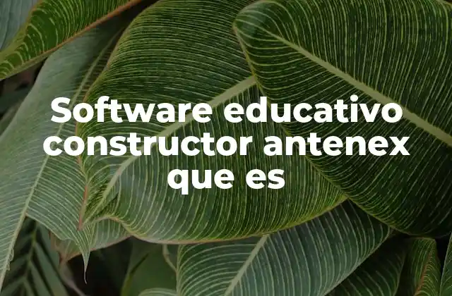 Software Educativo Constructor Antenex que es