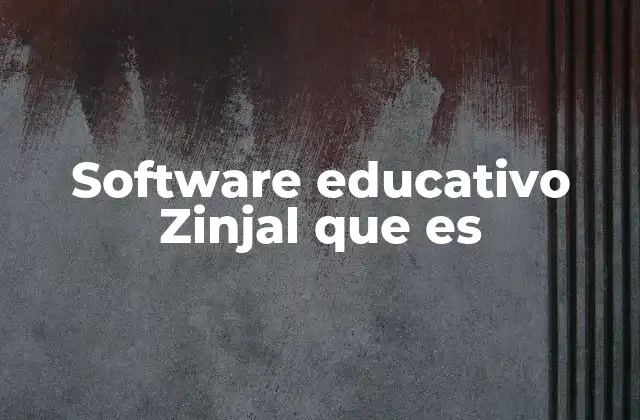 Software Educativo Zinjal que es