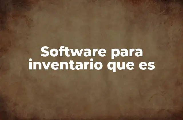 Software para Inventario que es